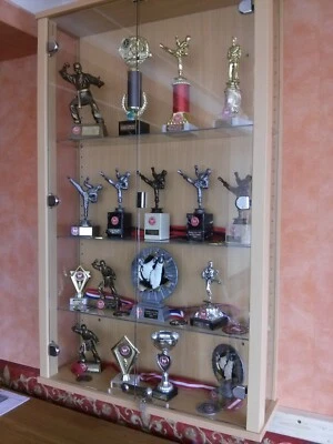 £9.99 • Buy 2 Large Glass LIVARNO ® Collector’s Display Cabinets + Variable Shelves 92076