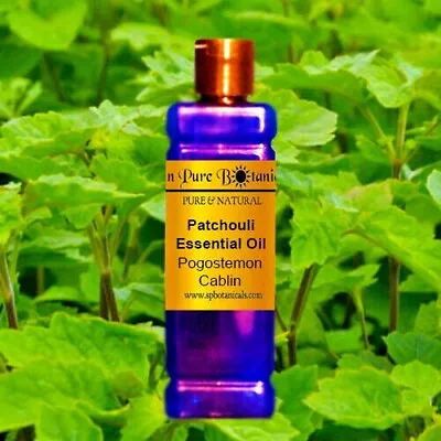 Patchouli Essential Oil - Sizes 2 Oz To 1 Gallon -  Aged Rich Aroma - 100% Pure • $349.99