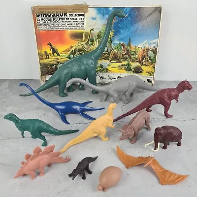 Invicta Model Dinosaurs - Natural History Museum - Boxed Collection 12 Pieces • £109.99