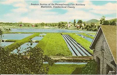 Eastern Section Of Penna Fish Hatchery Huntsdale Cumberland County PA Postcard • $4.95