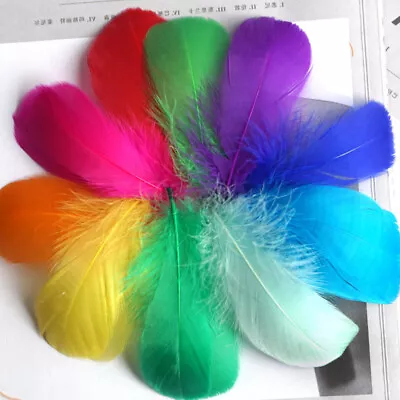 100pcs Floating Goose Feather Colourful Feather Wedding Party Clothing Decor  • £2.59