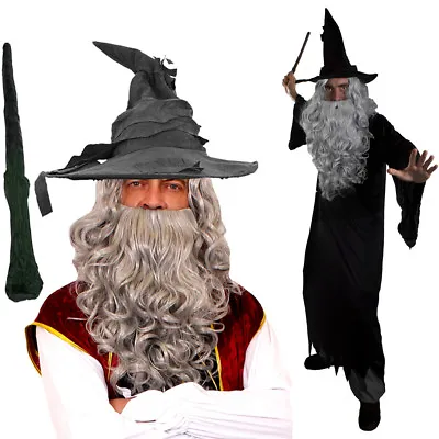 Wizard Cloak With Grey Wig And Beard Set Costume Magical Film Prof Fancy Dress • £12.99