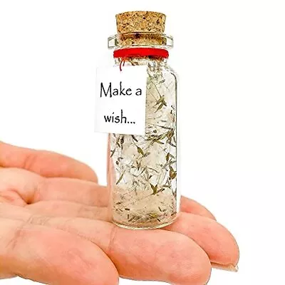 Tiny Magical Message In A Bottle Gift Idea Classy Inspirational Gifts For Him An • $22.02