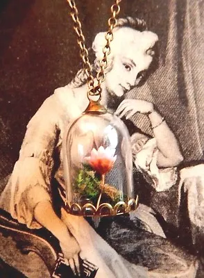 $10.99 • Buy DRIED FLOWER BELL JAR NECKLACE Rose Terrarium Beauty & The Beast Cottagecore E4