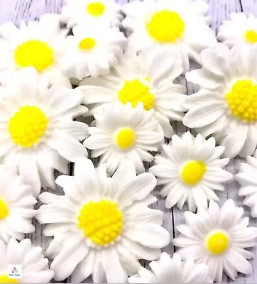 Edible White Daisies Flowers Fondant Sugar Paste Cake Decor Birthday Wedding • £6.95