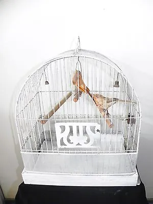 Antique Art Deco Metal Hendryx Bird Cage Glass Water Feeder & 2 Feather Birds • $129.95