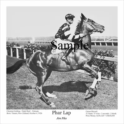 Phar Lap Classic Black & White Print Horseracing Victoria Derby • $45