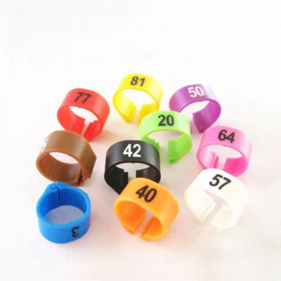 £4.43 • Buy 100 Pcs 8x5mm Chicks Rings Numbered Poultry Leg Bands Bird Pigeon Parrot Hen Set