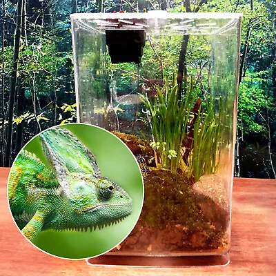 Acrylic Reptile Case Terrarium Gecko Lizard Snake Spider Vivarium Cage Tank • $31.35