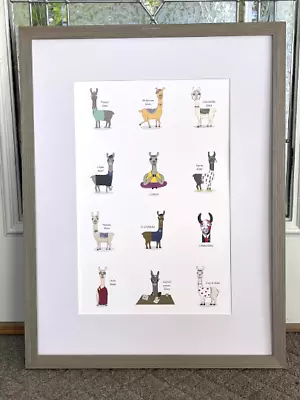 Llama Poster With 12 Different Llamas - 12 X18  • $12