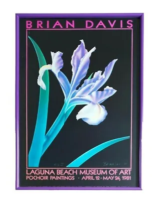 VTG 1980s Brian Davis LAGUNA BEACH MUSEUM Exhibition Poster Framed Signed Iris V • $195
