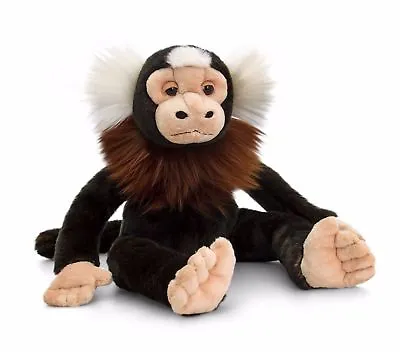 £8.99 • Buy 20cm & 30cm Marmoset Monkey - Keel Toys Wild Cuddly Soft Plush Teddy Sw0984/ 85