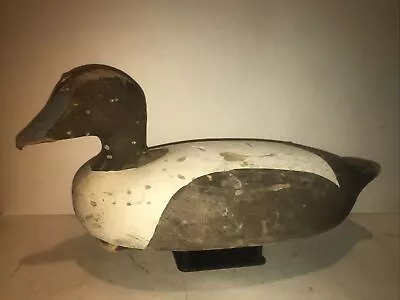 Eider Drake Juvenile Duck Decoy Bill Unsinkable Wasson Maine • $350