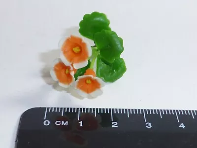 1:12 Scale Gloxinia Flowers B Garden • £1.80