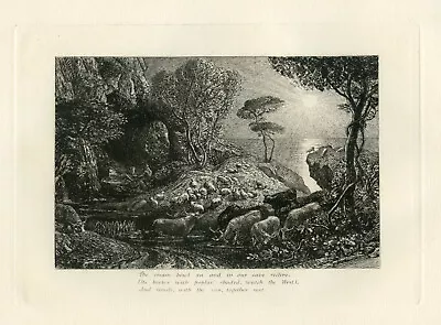 £656.07 • Buy Samuel Palmer Original Etching For Eclogues Of Virgil -  Moeris And Galatea 