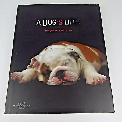 A Dog's Life Photographs By Araldo De Luca Large Hardcover Coffee Table Book DJ • $79.95