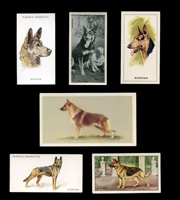 German Shepherd Dog Alsatian Gsd Vintage Trade & Cigarette Cards - X 6 • $3.72