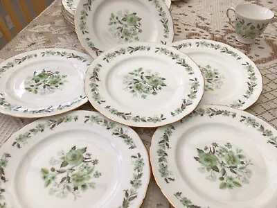 COLCLOUGH Fine Bone China   SEDGELEY   PATTERN NO.8648 DESSERT PLATES X 6 • £12.45