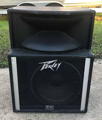 $349.99 • Buy Peavey SP2A Monitor Speaker With Woofer / Horn - Black Widow Speaker Floor Stage