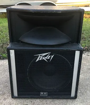 Peavey SP2A Monitor Speaker With Woofer / Horn - Black Widow Speaker Floor Stage • $349.99