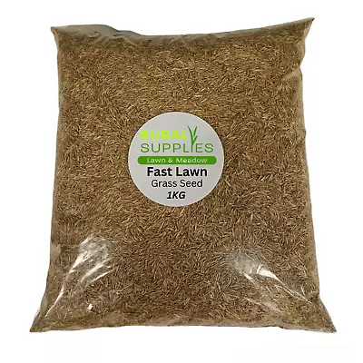 FAST PATCH Grass Seed 1KG BAG  -QUICK RAPID REPAIR FOR TIRED LAWNS | 30m2 • £15
