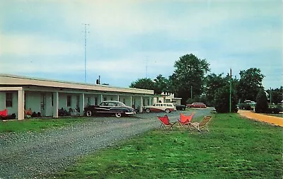 Virginia Martin's Motel And Restaurant Old Cars Vintage Chrome Postcard Unposted • $2.99