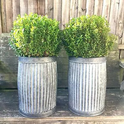 2 X Large Round Galvanised Ribbed Metal Barrel Planter Plant Flower Pot Garden D • £65.95