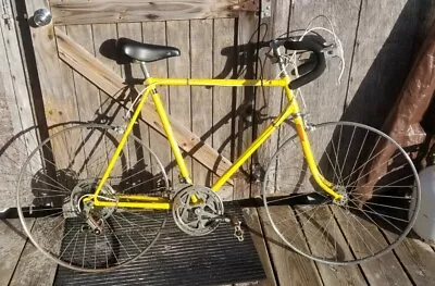 Del Romi.  Vintage Japanese Bicycle. Shimano 333. • $175