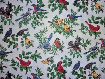 Realistic Variety Birds  Vintage Quilt Quality Cotton Fabric 36  X 44  1  Yd • $8.99