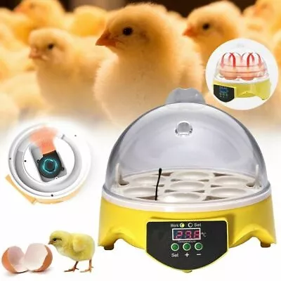 Compact Mini 7 Eggs Digital Incubator Hatcher Poultry Chicken Duck Bird Gift • $26.96