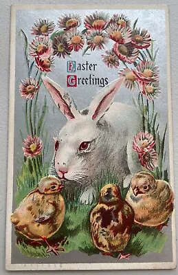 Easter Greetings Exaggerated Bunny Rabbit And Chicks Postcard Vintage • $2.49