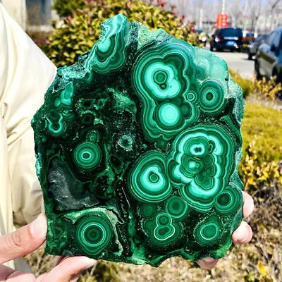 2.97LB Natural Malachite Slice Quartz Crystal Luster Mineral Specimen • $0.99