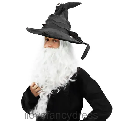 Grey Wizard Hat Wig And Beard Halloween Middle Earth Book Character Fancy Dress • £13.99