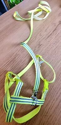 Harness & Lead For Small Animals Dog/Cat/Ferret/Rabbit • £0.99