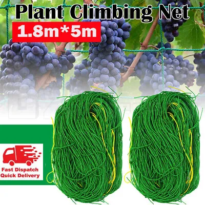 Garden Climbing Plant Support Mesh Net Netting Clematis Cucumber Bean Trellis • £5.98