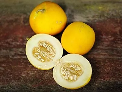 25 Mango (Vine Peach) Seeds Made In USA Ships From Iowa • $8.98