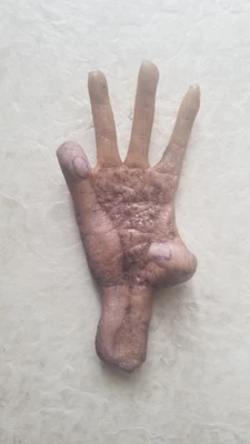 $19.99 • Buy “Cursed” Monkey's Paw / Monkey Hand Prop Replica Hand Made 3 Wishes Life Sized