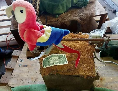 Vtg.  Mechanical Parrotstore DisplayLou Nastipropanimationanimatronicooak • $779