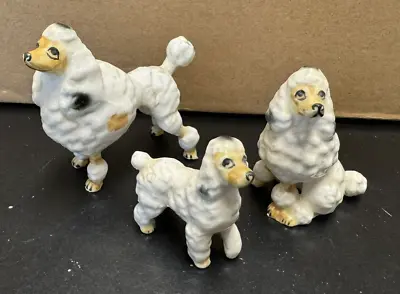 Vintage Ceramic - 3 Standard Poodle Dogs - Miniature Figurines • $15.30