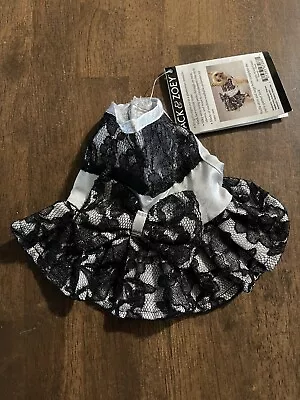 Zack And Zoey Lace Satin Dress Size Teacup  • $6.74