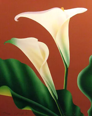 Brian Davis  Calla V  Hand Signed Limited Edition Art Flower Artwork SUBMITOFFER • $700