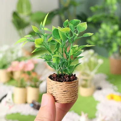 2PC 1:12 Scale Dollhouse Miniatures Green Plants Tree Rattan Flowerpot Decorate • $6.99