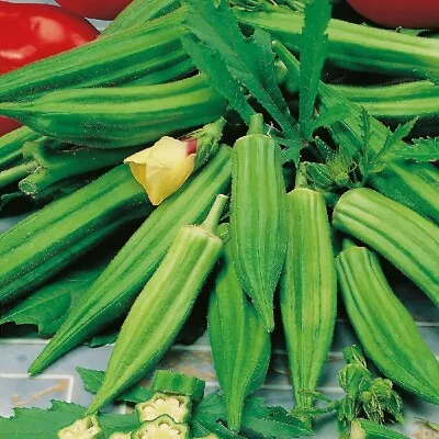 Vegetable Okra - Clemsons Spineless - Kings Seeds - 50 Seeds • £1.65