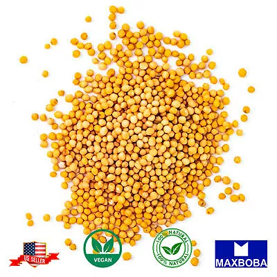 Yellow Mustard Seeds Whole Raw 100% Pure Natural Indian Spice • $4.99
