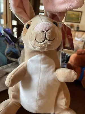 Kohls Cares Plush The Velveteen Rabbit With Tag • $17.99