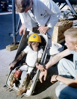 8x10 Print NASA NASA Mercury Redstone II MR-2 Ham The Chimp Handlers 1961 #1a784 • $14.99