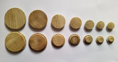 £3.99 • Buy SOLID WOOD Oak Flat Cover Caps For 8 10 12 15 20 25 35 40 HOLE Plug Wooden Low