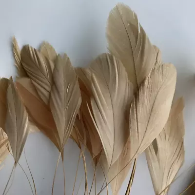 Tan Stripped Coque Feathers Eyelash Trim 15 Pcs 6-8  Hat Millinery Fascinator • $7.99