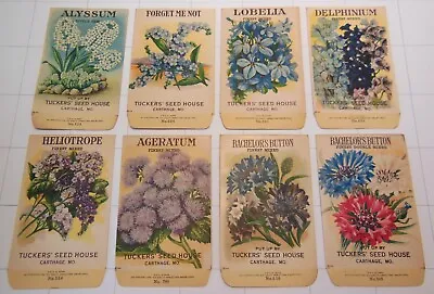 8 Vintage FLOWER SEED PACKETS (G5)-Galloway Litho Co-2 3/4 X4 3/8 -Tuckers' Seed • $28