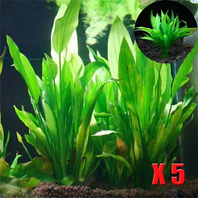 5PCS Artificial Aquarium Plants Realistic Green Plants Fish Tank Decor UK • £5.98